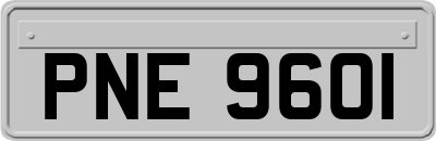 PNE9601