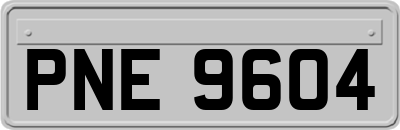 PNE9604