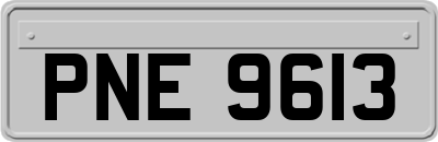 PNE9613