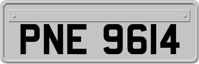 PNE9614