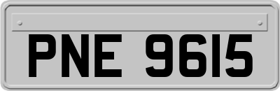 PNE9615