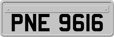 PNE9616