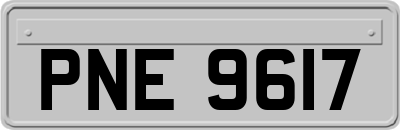 PNE9617