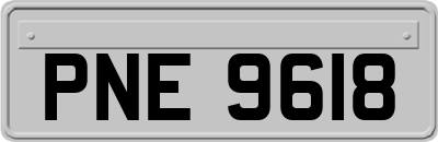 PNE9618