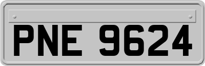 PNE9624