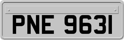 PNE9631