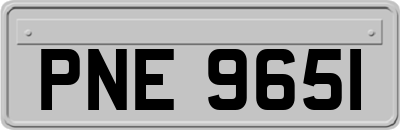 PNE9651