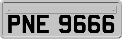 PNE9666
