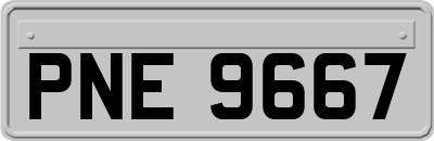 PNE9667