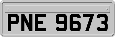 PNE9673