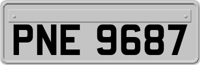 PNE9687