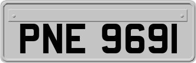 PNE9691