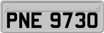 PNE9730