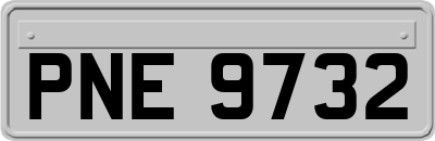 PNE9732