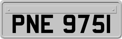 PNE9751