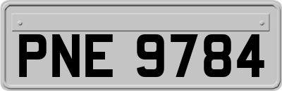 PNE9784