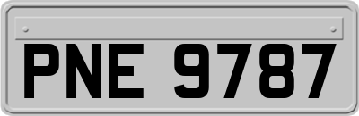 PNE9787