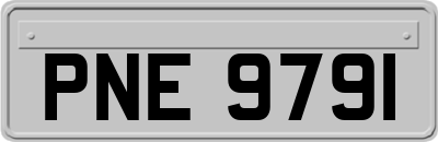 PNE9791