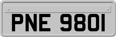 PNE9801