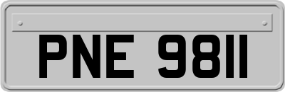 PNE9811