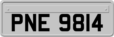 PNE9814