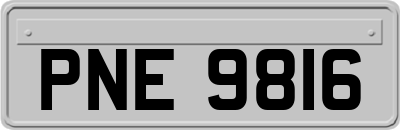 PNE9816