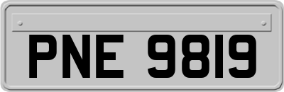 PNE9819