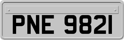 PNE9821