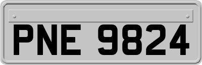 PNE9824