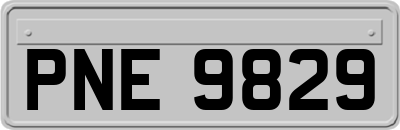 PNE9829