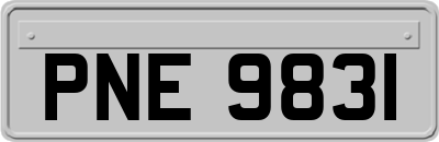 PNE9831