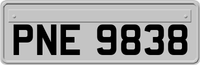 PNE9838