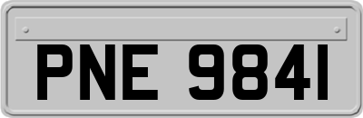 PNE9841