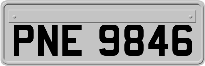 PNE9846
