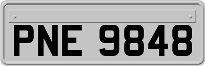 PNE9848