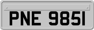 PNE9851