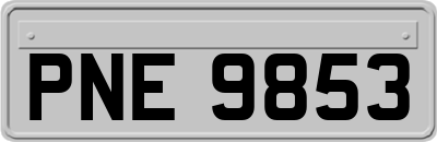 PNE9853