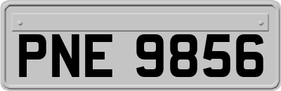 PNE9856