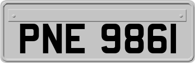 PNE9861