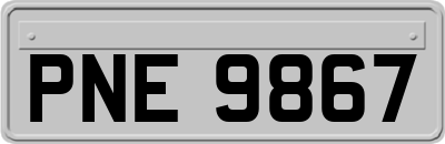 PNE9867