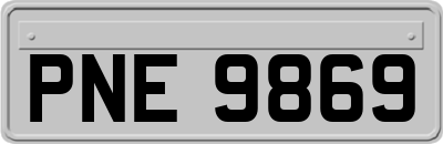 PNE9869