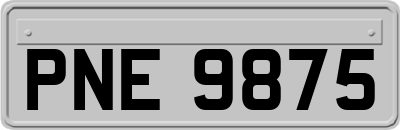 PNE9875