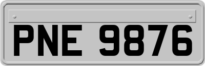 PNE9876