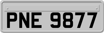 PNE9877