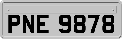 PNE9878