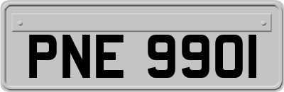 PNE9901