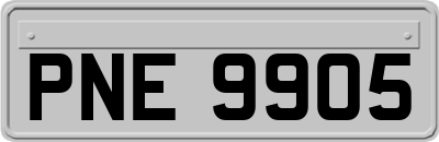 PNE9905