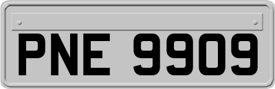 PNE9909