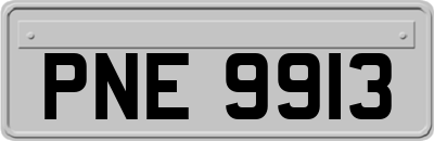 PNE9913