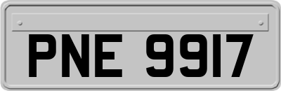 PNE9917